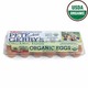 PETE AND GERRY'S ORGANIC EGGS