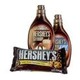 HERSHEY'S SYRUP AND BREYERS PRODUCT